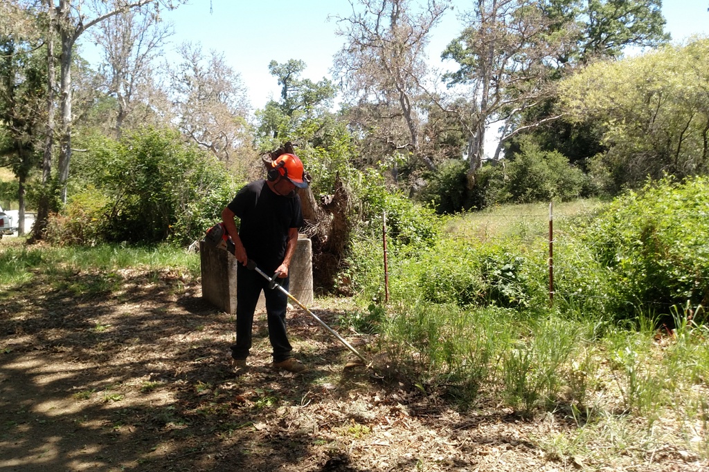 Phil weed-eating the trailhead.